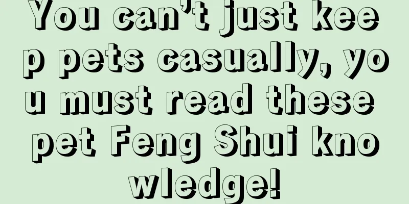You can’t just keep pets casually, you must read these pet Feng Shui knowledge!
