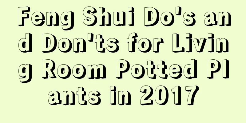 Feng Shui Do's and Don'ts for Living Room Potted Plants in 2017