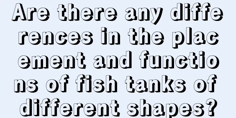 Are there any differences in the placement and functions of fish tanks of different shapes?