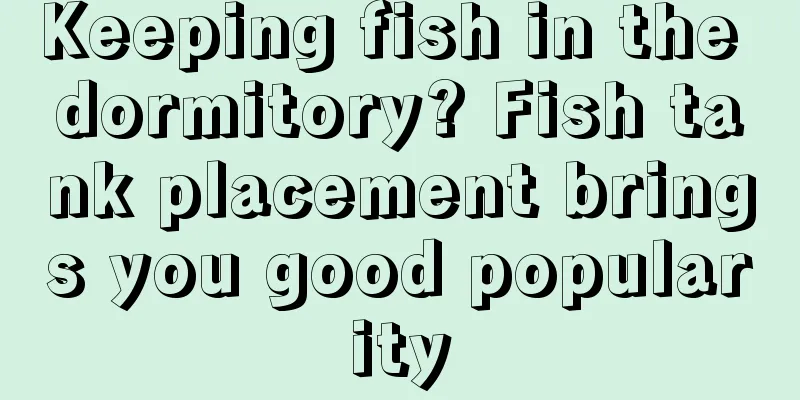 Keeping fish in the dormitory? Fish tank placement brings you good popularity