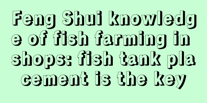 Feng Shui knowledge of fish farming in shops: fish tank placement is the key