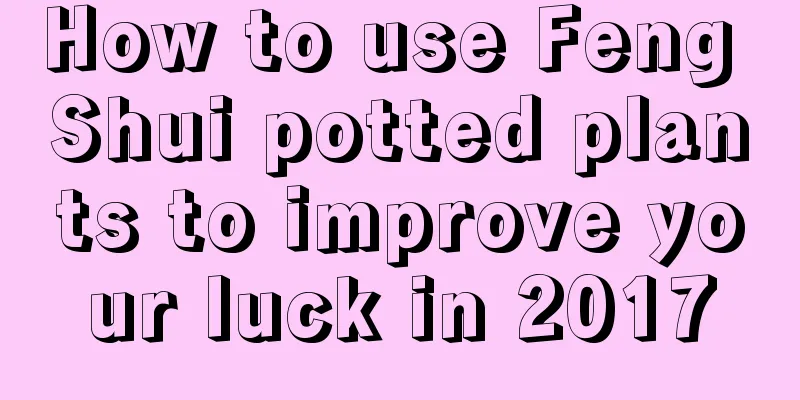How to use Feng Shui potted plants to improve your luck in 2017