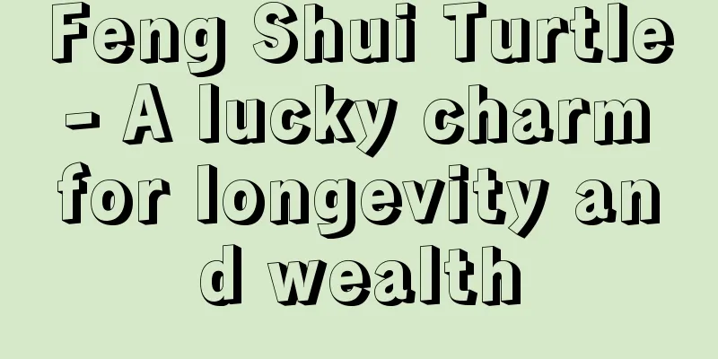 Feng Shui Turtle - A lucky charm for longevity and wealth