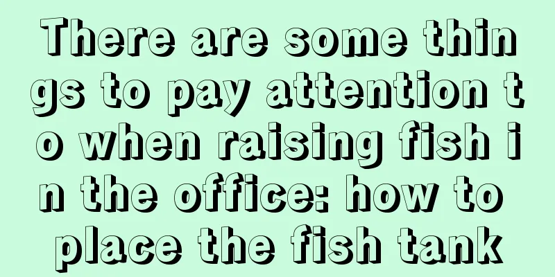 There are some things to pay attention to when raising fish in the office: how to place the fish tank