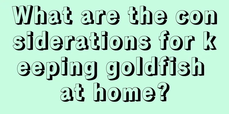 What are the considerations for keeping goldfish at home?