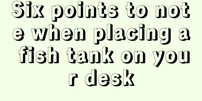 Six points to note when placing a fish tank on your desk
