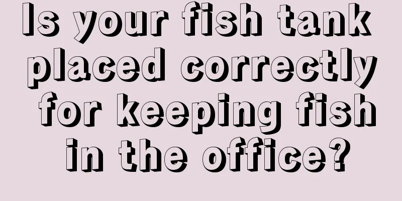 Is your fish tank placed correctly for keeping fish in the office?