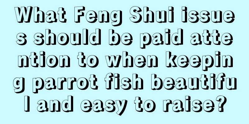 What Feng Shui issues should be paid attention to when keeping parrot fish beautiful and easy to raise?