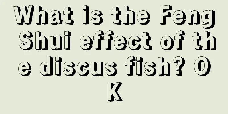 What is the Feng Shui effect of the discus fish? OK