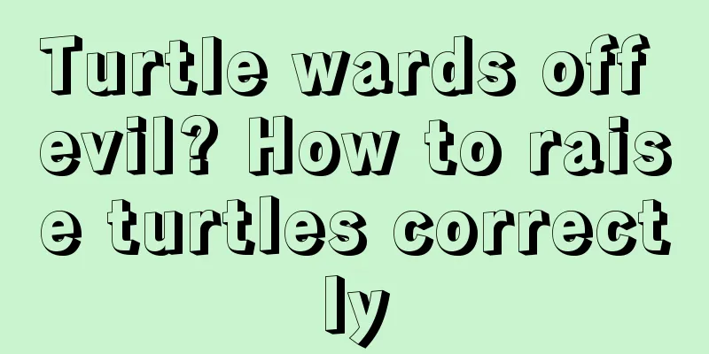 Turtle wards off evil? How to raise turtles correctly