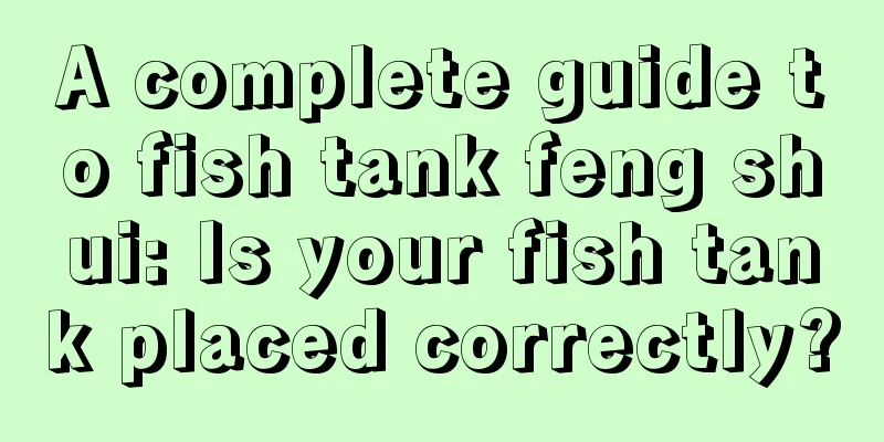 A complete guide to fish tank feng shui: Is your fish tank placed correctly?