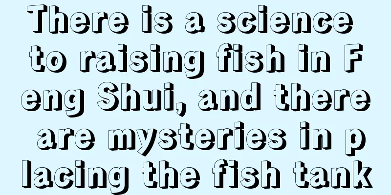There is a science to raising fish in Feng Shui, and there are mysteries in placing the fish tank