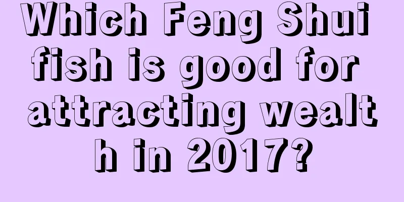 Which Feng Shui fish is good for attracting wealth in 2017?