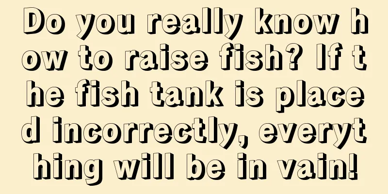 Do you really know how to raise fish? If the fish tank is placed incorrectly, everything will be in vain!