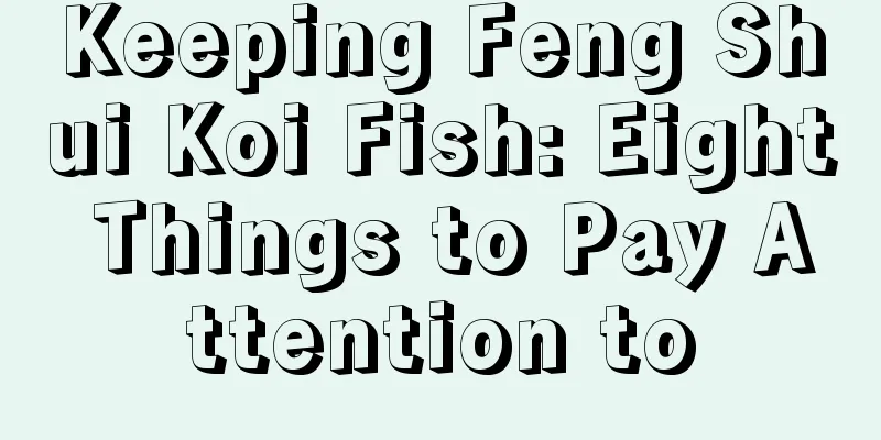 Keeping Feng Shui Koi Fish: Eight Things to Pay Attention to