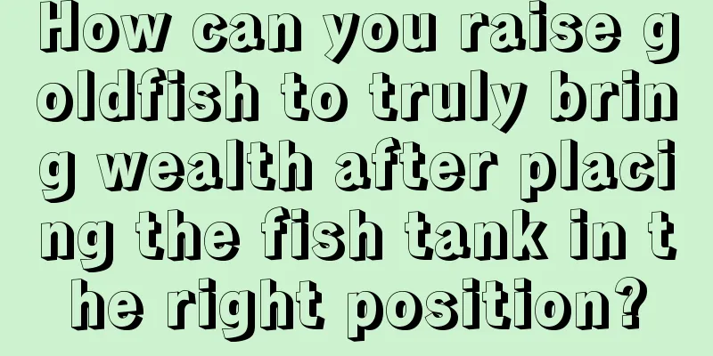 How can you raise goldfish to truly bring wealth after placing the fish tank in the right position?
