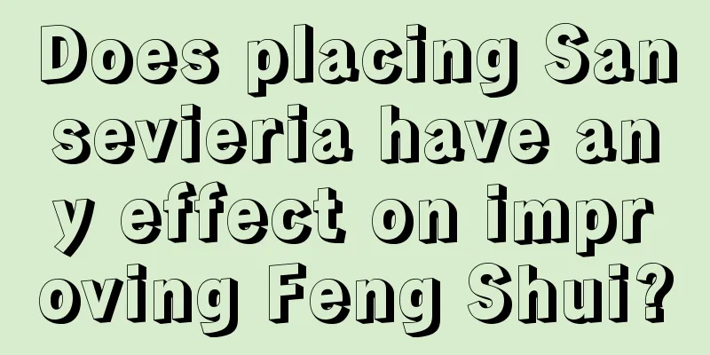 Does placing Sansevieria have any effect on improving Feng Shui?