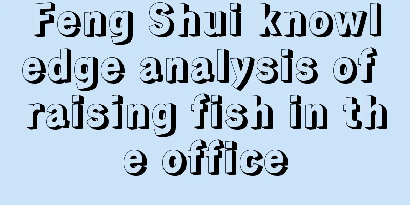 Feng Shui knowledge analysis of raising fish in the office