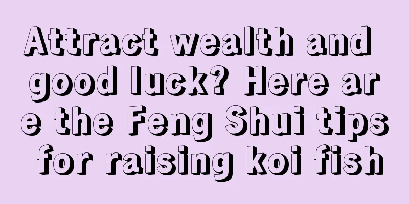 Attract wealth and good luck? Here are the Feng Shui tips for raising koi fish