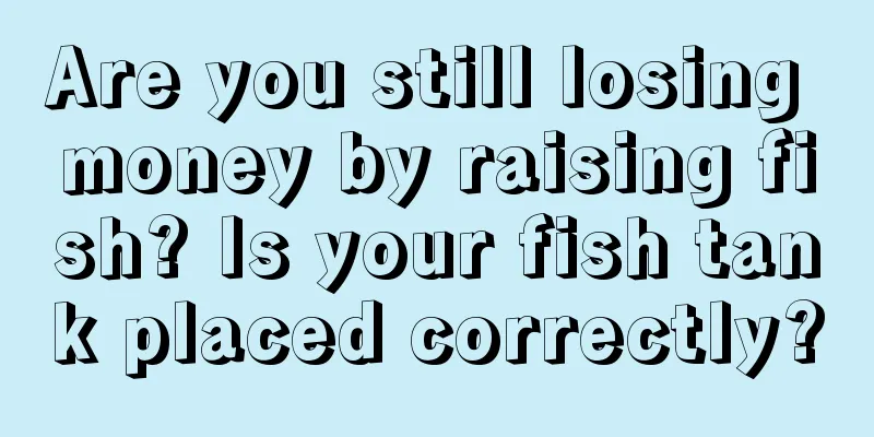 Are you still losing money by raising fish? Is your fish tank placed correctly?