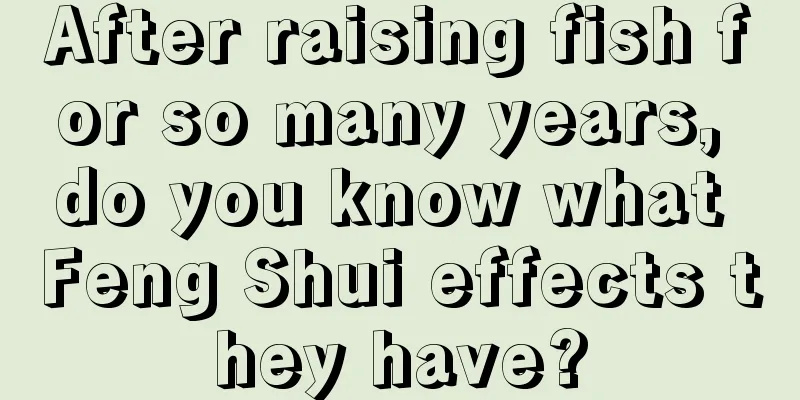 After raising fish for so many years, do you know what Feng Shui effects they have?