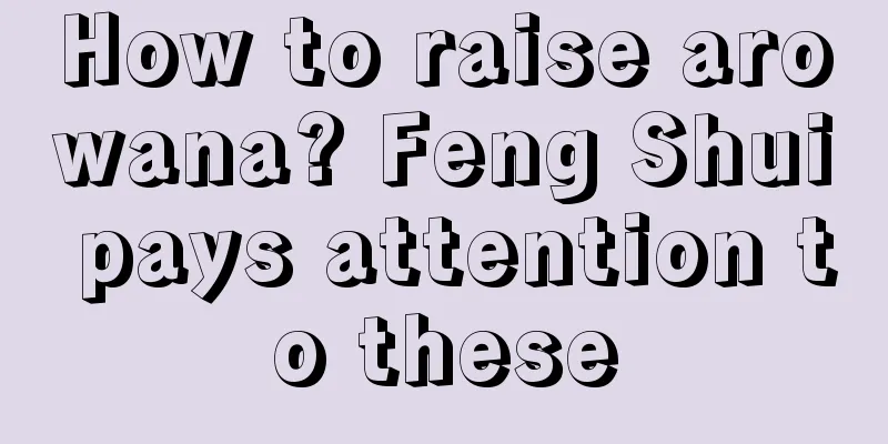 How to raise arowana? Feng Shui pays attention to these