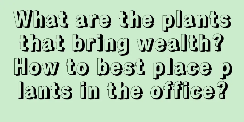 What are the plants that bring wealth? How to best place plants in the office?