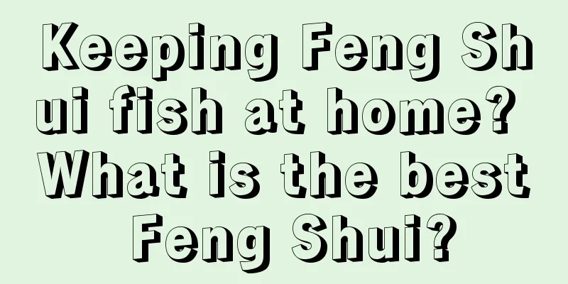 Keeping Feng Shui fish at home? What is the best Feng Shui?