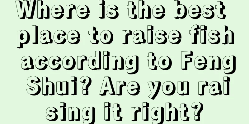 Where is the best place to raise fish according to Feng Shui? Are you raising it right?