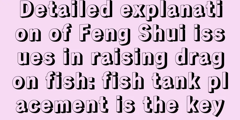 Detailed explanation of Feng Shui issues in raising dragon fish: fish tank placement is the key