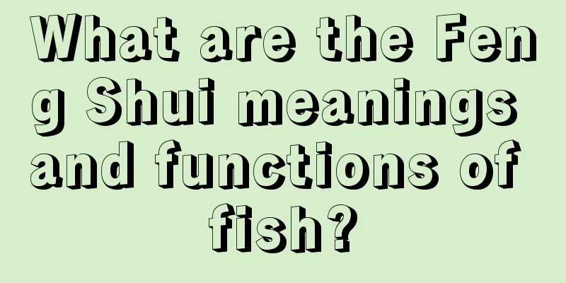 What are the Feng Shui meanings and functions of fish?