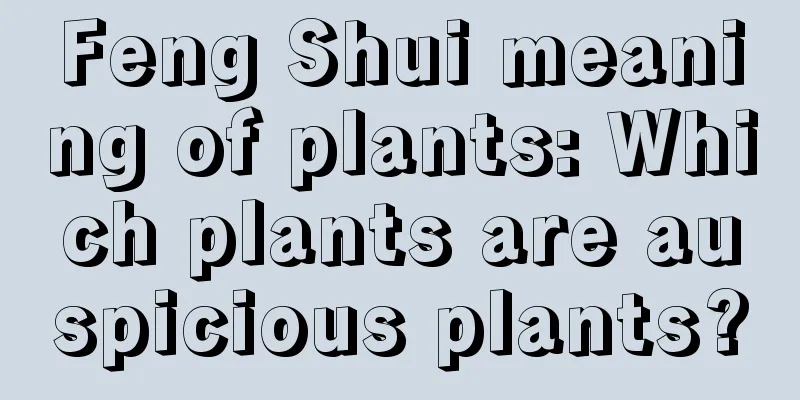 Feng Shui meaning of plants: Which plants are auspicious plants?