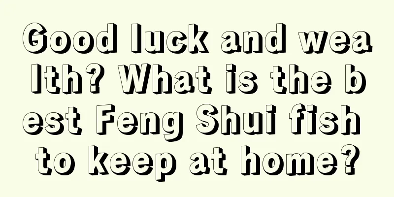 Good luck and wealth? What is the best Feng Shui fish to keep at home?