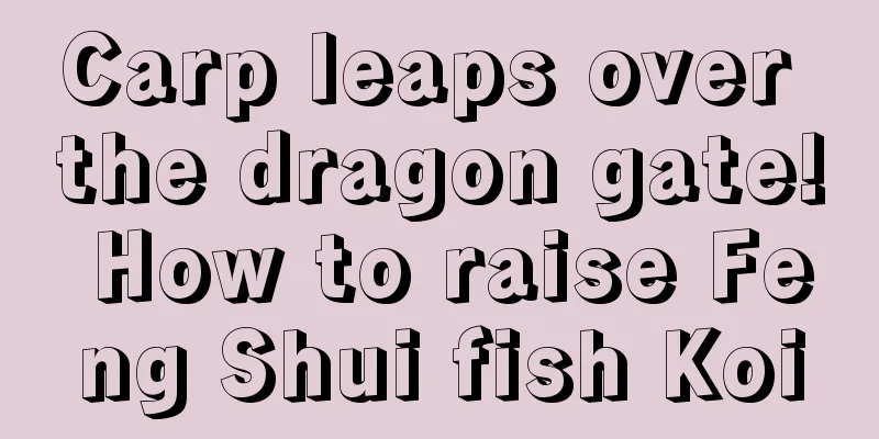 Carp leaps over the dragon gate! How to raise Feng Shui fish Koi