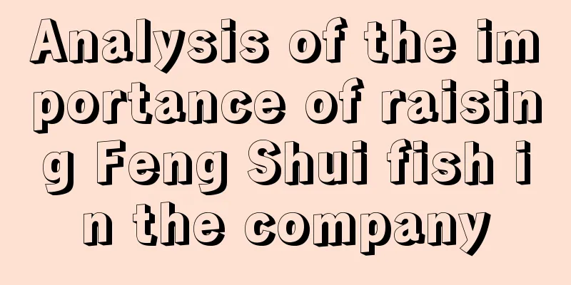 Analysis of the importance of raising Feng Shui fish in the company