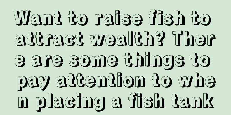Want to raise fish to attract wealth? There are some things to pay attention to when placing a fish tank