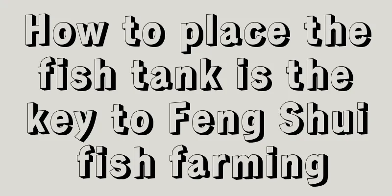 How to place the fish tank is the key to Feng Shui fish farming