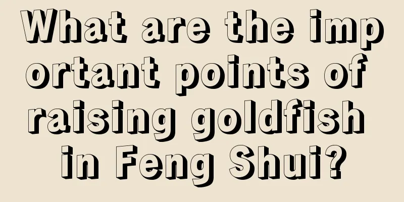 What are the important points of raising goldfish in Feng Shui?