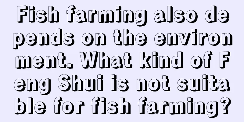 Fish farming also depends on the environment. What kind of Feng Shui is not suitable for fish farming?