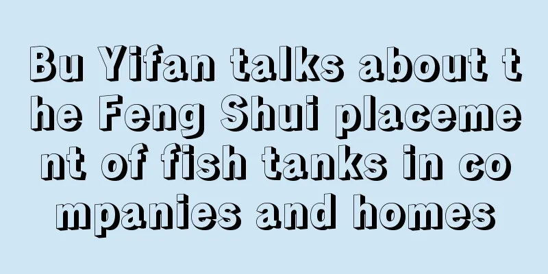 Bu Yifan talks about the Feng Shui placement of fish tanks in companies and homes