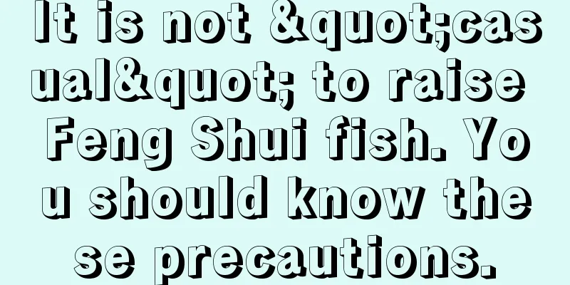 It is not "casual" to raise Feng Shui fish. You should know these precautions.