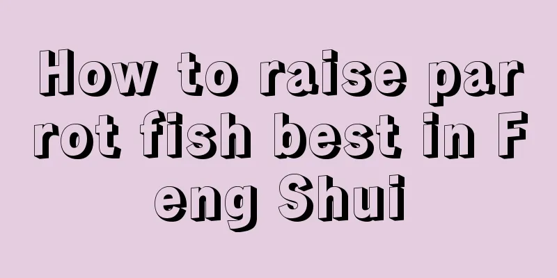 How to raise parrot fish best in Feng Shui
