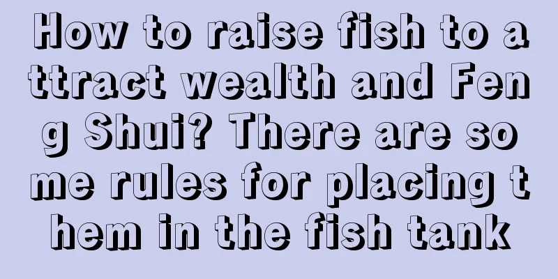 How to raise fish to attract wealth and Feng Shui? There are some rules for placing them in the fish tank