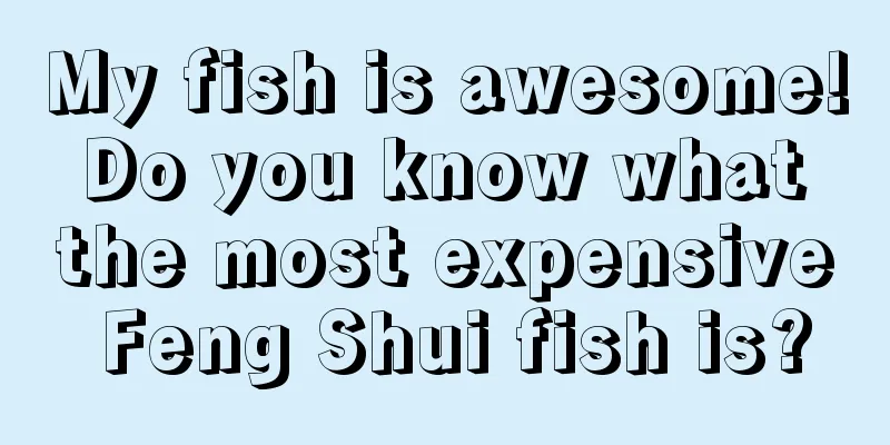 My fish is awesome! Do you know what the most expensive Feng Shui fish is?
