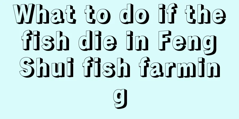 What to do if the fish die in Feng Shui fish farming