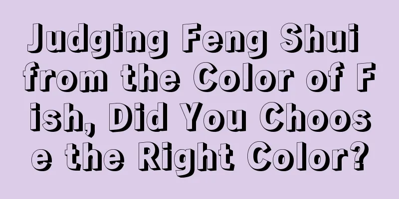 Judging Feng Shui from the Color of Fish, Did You Choose the Right Color?
