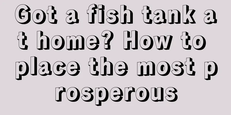 Got a fish tank at home? How to place the most prosperous