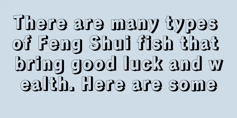 There are many types of Feng Shui fish that bring good luck and wealth. Here are some