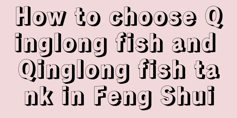 How to choose Qinglong fish and Qinglong fish tank in Feng Shui