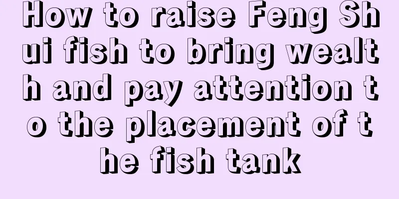 How to raise Feng Shui fish to bring wealth and pay attention to the placement of the fish tank
